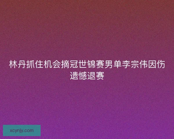 林丹抓住机会摘冠世锦赛男单李宗伟因伤遗憾退赛