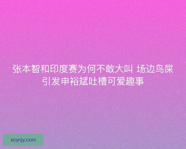 张本智和印度赛为何不敢大叫 场边鸟屎引发申裕斌吐槽可爱趣事